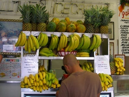 pa270049.jpg