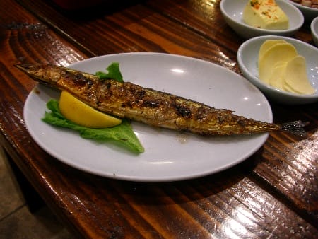 mackerel
