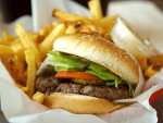 Food Photo Insights