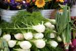 “Market Driven” Fennel