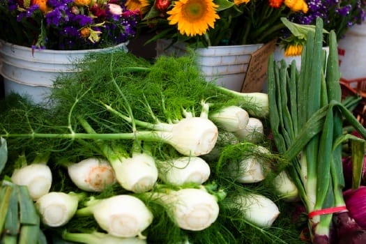 heirloom-la-fennel