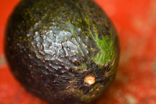 avocado