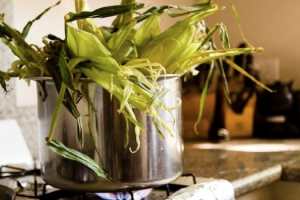 corn-husks