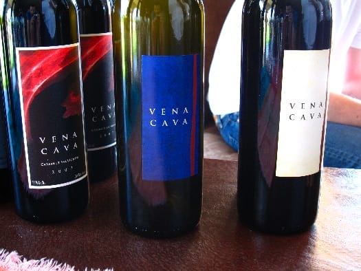 la-villa-del-valle-vena-cava la-villa-del-valle-vena-cava