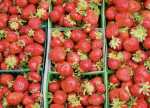 “Market Driven” Strawberries