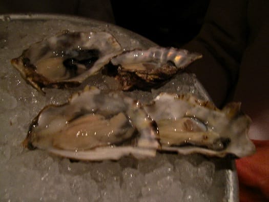 water-grill-gigas-oysters water-grill-gigas-oysters
