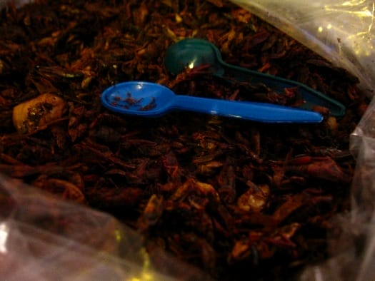 chapulines chapulines