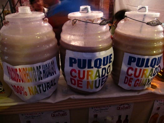 pulque-directo-de-hidalgo pulque-directo-de-hidalgo