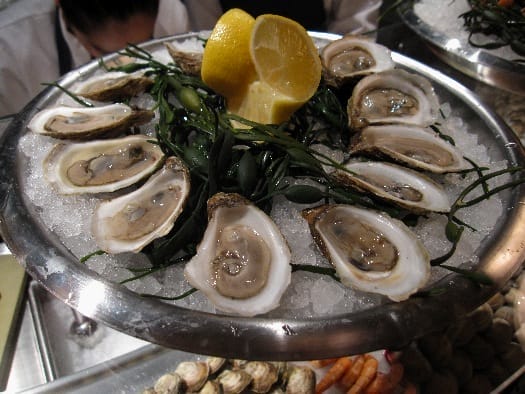 bouchon-oysters bouchon-oysters