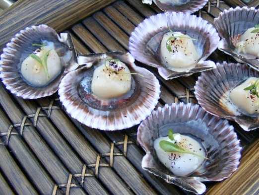 east-scallops east-scallops