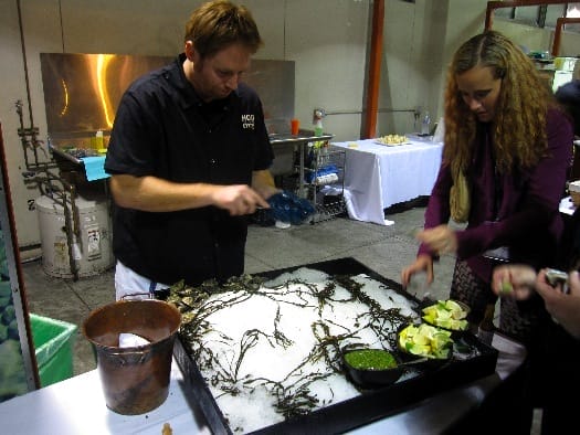 hog-island-oyster-shucker hog-island-oyster-shucker