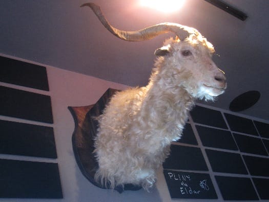 the-surly-goat the-surly-goat
