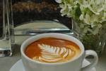 Caffe Luxxe Brentwood Expansion and Update