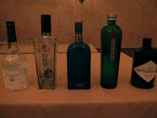 worldly-gins worldly-gins