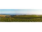 Q&A with winemaker Tiffinee Vierra (Derby Wine Estates)