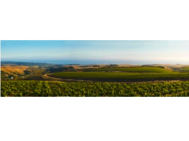 Derby Wine Estates