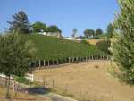Q&A with Reeves Ranch Vineyard co-founder Meghan Reeves