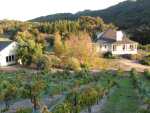 Toucan Wines Toucan Wines