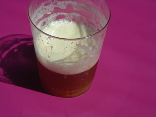 Pacific Gravity Beer