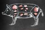 Pig Image Gallery (Part 2)