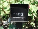 The Tasting Kitchen (Brunch): Dialing in a Hybrid Meal