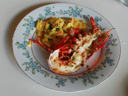 The Hart The Hunter Sign Lobster Eggs