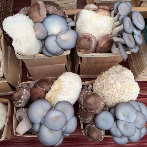 Mushrooms Seattle